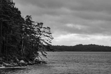 Bulutlu gökyüzüne karşı deniz manzarası