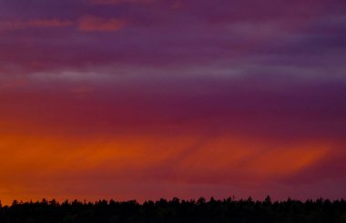 Scenic view of dramatict sky over forest during sunset
