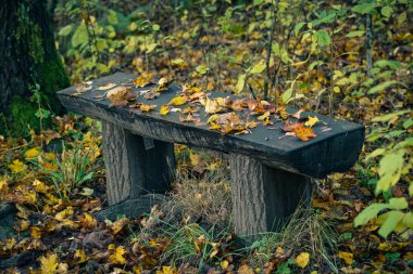 Close up of autumn leaves on a wooden bench 