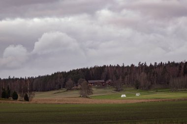 Trees on field against cloudy sky during autumn