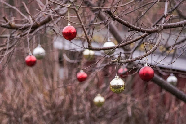 Großaufnahme Von Weihnachtsschmuck Der Nackten Baum Hängt — Stockfoto