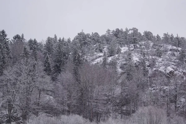 Blick Auf Bäume Und Berge Bei Klarem Himmel Winter — Stockfoto