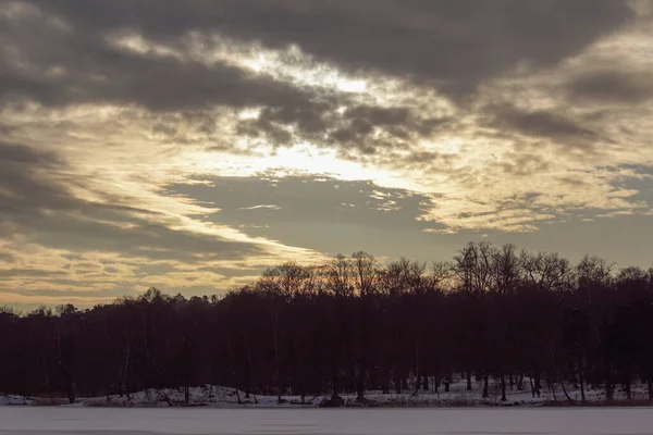 Bäume Auf Einem Feld Neben Einem Zugefrorenen See — Stockfoto