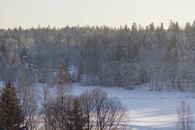 Ağaçlar karla kaplı topraklar gökyüzüne karşı