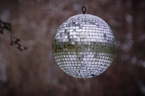 Närbild Disco Boll Hängande Träd Vintern — Stockfoto
