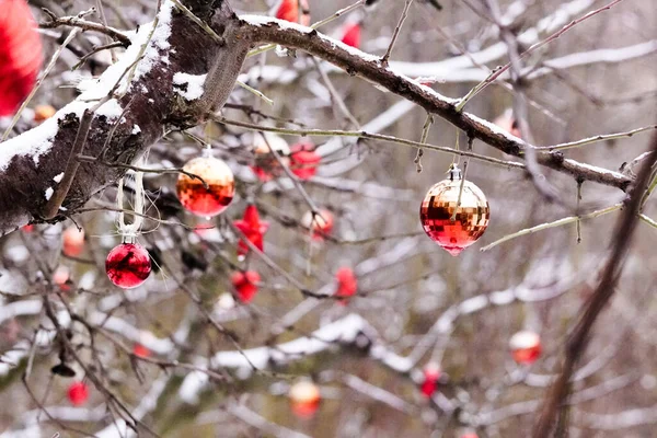Close Dekorasi Natal Pohon Selama Musim Dingin — Stok Foto