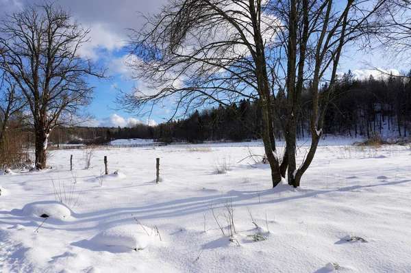 Bäume Auf Schneebedecktem Feld Gegen Den Himmel — Stockfoto