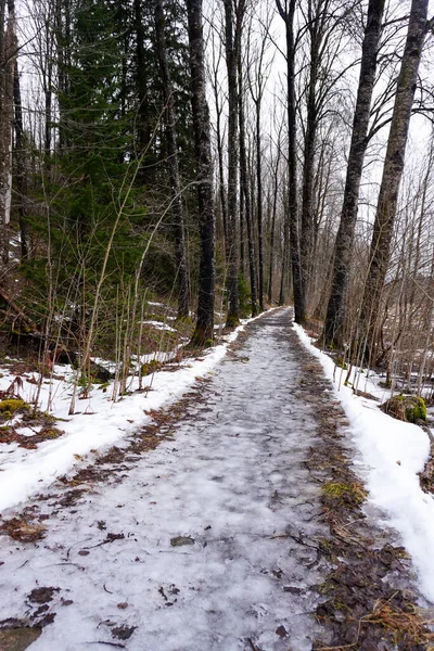 Ein Weg Wald Winter — Stockfoto