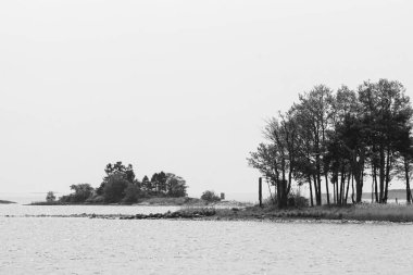 Açık gökyüzüne karşı denizdeki adalarda büyüyen ağaçlar
