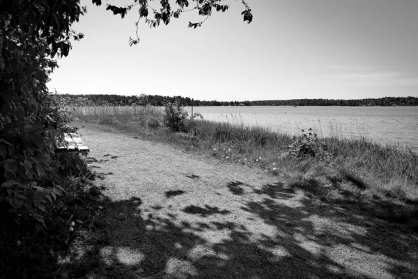 夏の間の湖の隣の道 — ストック写真