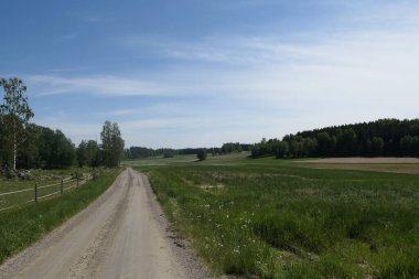 Gökyüzüne karşı tarlanın ortasında boş bir köy yolu