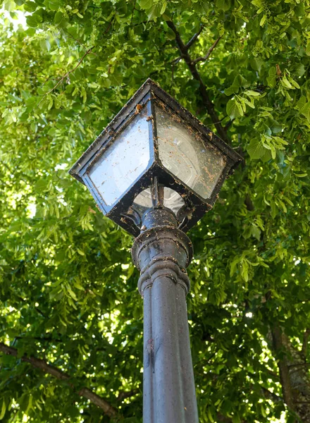 Nízký Úhel Pohledu Pouliční Lampu Proti Stromům — Stock fotografie