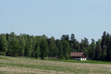 Arkasında ağaçlar olan büyük yeşil bir alan.