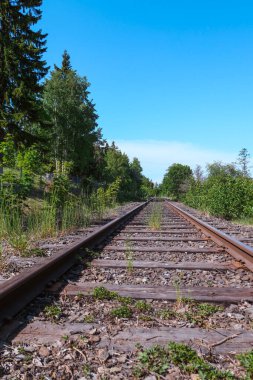 Gökyüzüne karşı ağaçların arasındaki boş tren yolu