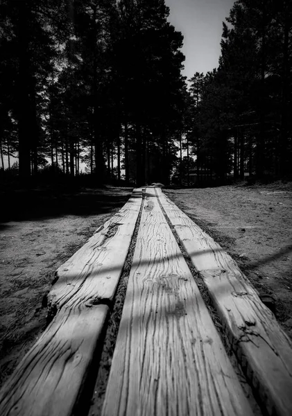 森林中的一条木制小路的近旁 — 图库照片