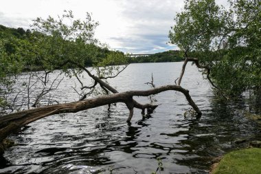 Şehirdeki göl manzarası gökyüzüne karşı