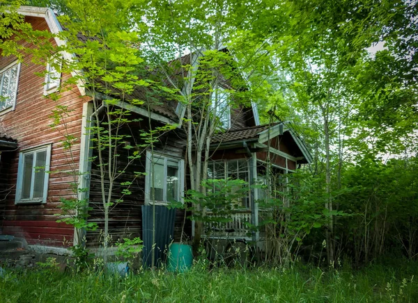 Εγκαταλελειμμένο Σπίτι Στο Δάσος Κατά Διάρκεια Του Καλοκαιριού — Φωτογραφία Αρχείου