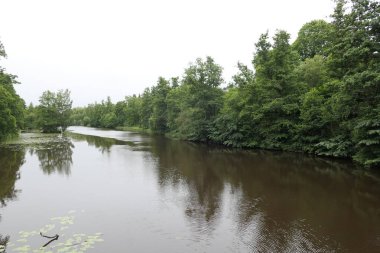 Ormandaki derenin berrak gökyüzüne karşı manzarası