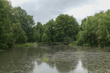 Gökyüzüne bakan küçük gölet manzarası