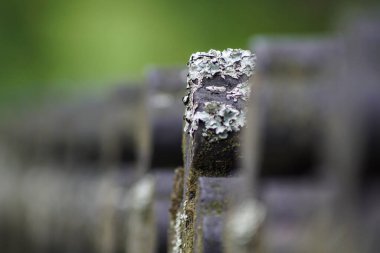 yakın up eski bir demir çit