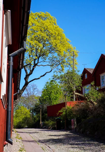 澄んだ青空に対する木々や建物 — ストック写真