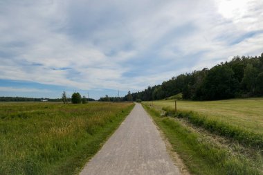 Bulutlu gökyüzüne karşı boş yol