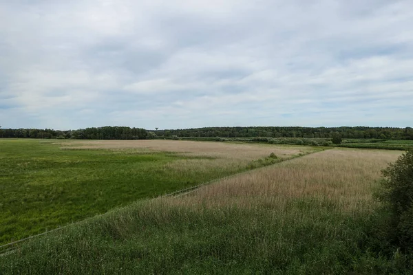 Scenic View Green Field Sky — Stock Photo, Image