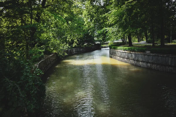 公園内の木々に囲まれた運河の風景 — ストック写真