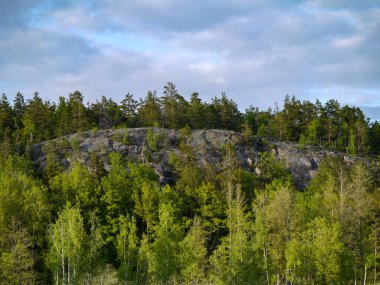 Ağaçlar büyür bir dağda gökyüzüne karşı