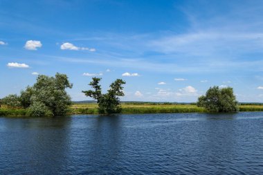 Yaz boyunca göl manzarası 