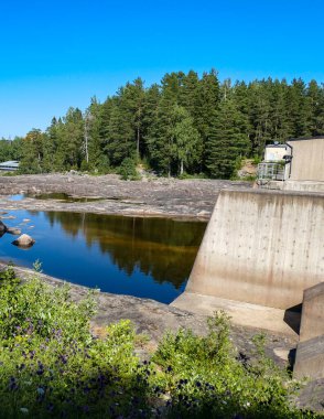 Ağaçlar ve binalar berrak gökyüzüne karşı