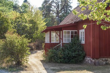 Ormanda eski boş bir ev 