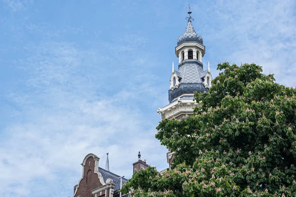 stock image Low angle view of a church tower behind a tree 