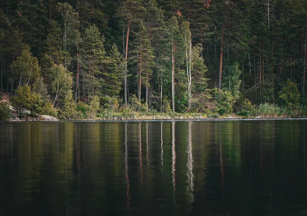 Живописный Вид Озеро Лесу — стоковое фото