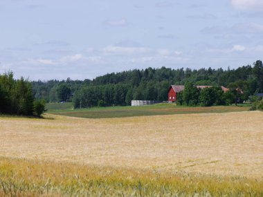 Gökyüzüne karşı bir alanın manzarası 