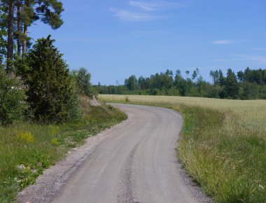 an empty country road by fields