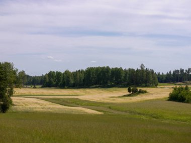 Gökyüzüne karşı bir alanın manzarası 