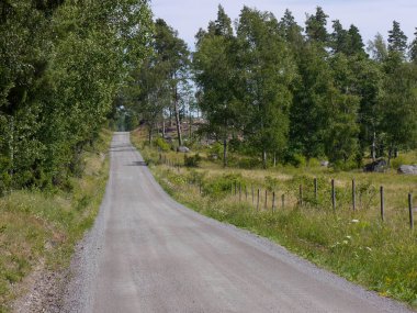 an empty country road by trees and fields
