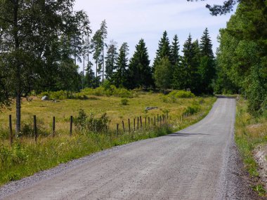an empty country road by trees and fields