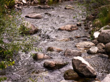 High angle view of a stream 