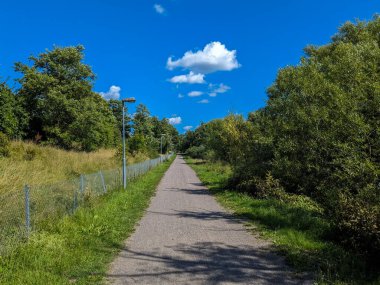 Gökyüzüne karşı ağaçların arasında boş bir yol