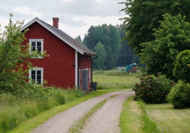 Ağaçların arasında boş yol ve gökyüzüne karşı bina