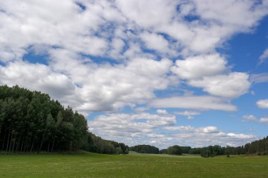 Scenic view of a field against cloudy sky 