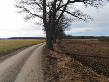 Gökyüzüne karşı tarlanın ortasında boş yol