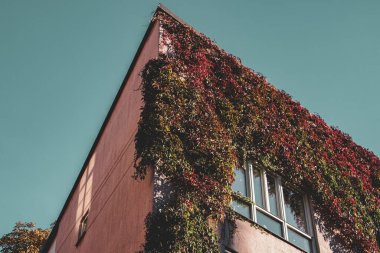 Gökyüzüne bakan bir binanın alçak açılı görüntüsü 