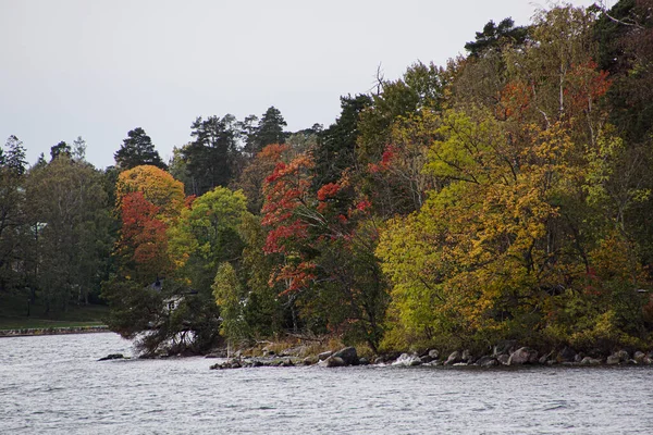 Árvores Por Mar Contra Céu Limpo Durante Outono — Fotografia de Stock