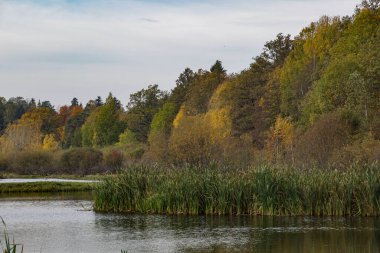Sonbaharda gökyüzüne karşı ağaçların olduğu göl manzarası