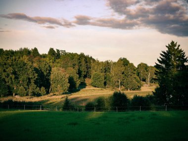 Akşam boyunca bir tarlanın manzarası 