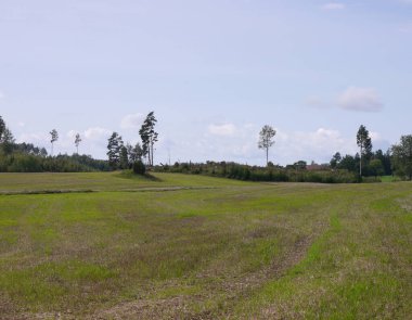 Gökyüzüne karşı bir alanın manzarası 