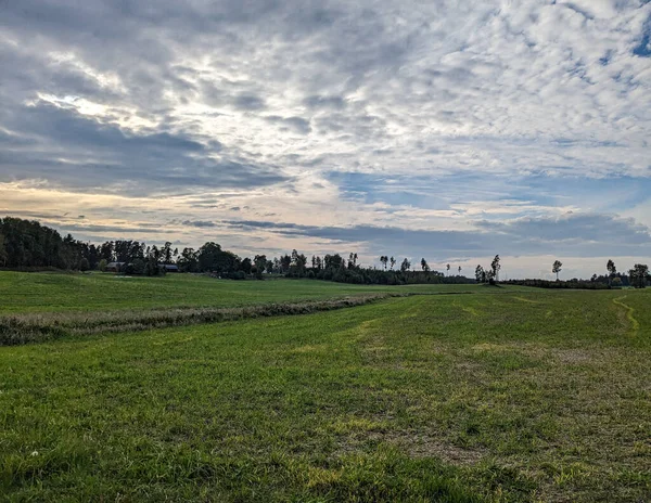 Scenic View Field Sky — Stock Photo, Image
